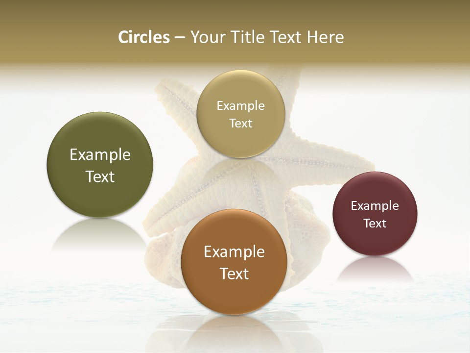 Porous Reverberation Tender PowerPoint Template