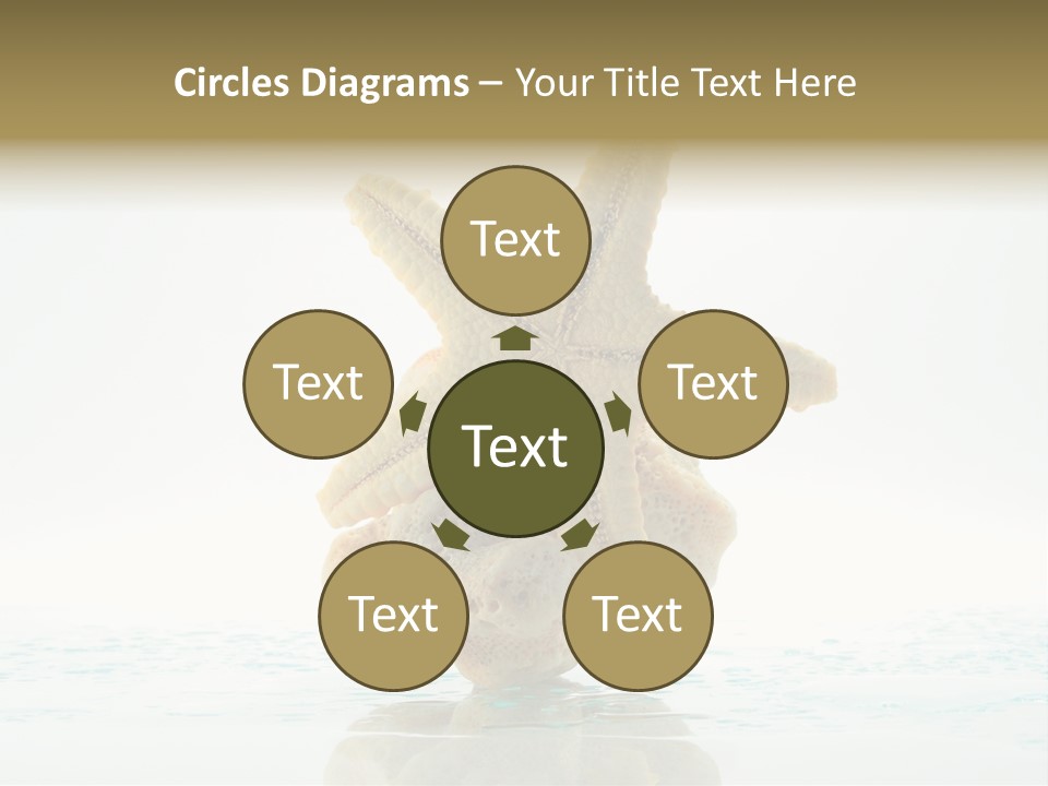 Porous Reverberation Tender PowerPoint Template