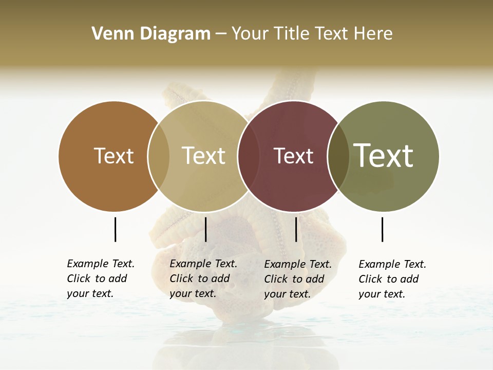 Porous Reverberation Tender PowerPoint Template