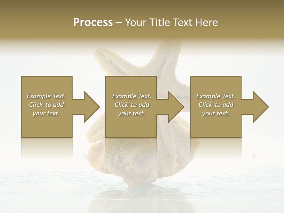 Porous Reverberation Tender PowerPoint Template