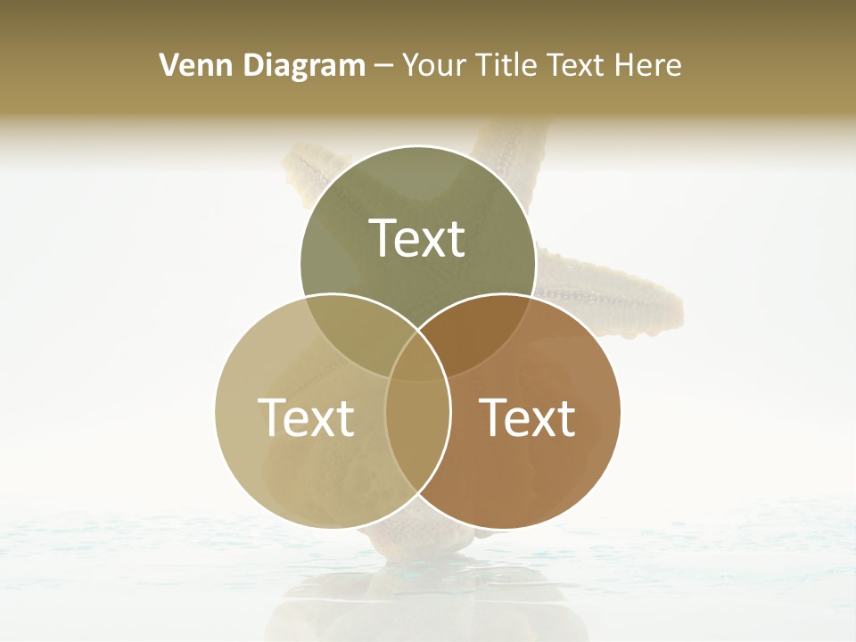 Porous Reverberation Tender PowerPoint Template