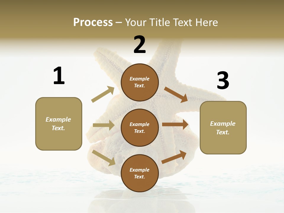 Porous Reverberation Tender PowerPoint Template