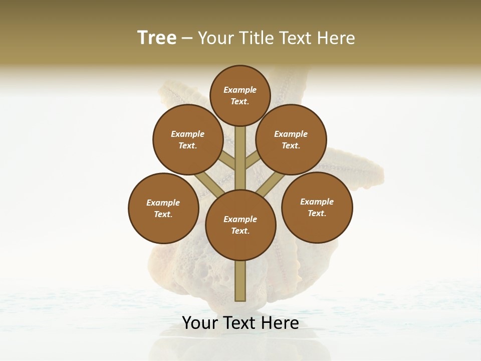 Porous Reverberation Tender PowerPoint Template