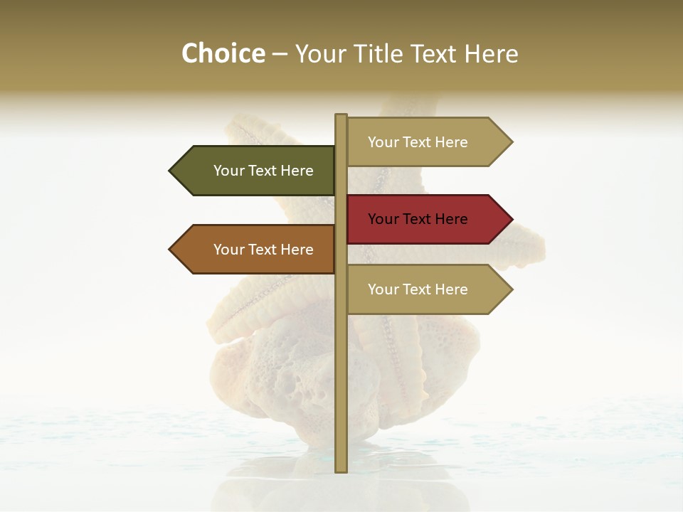 Porous Reverberation Tender PowerPoint Template