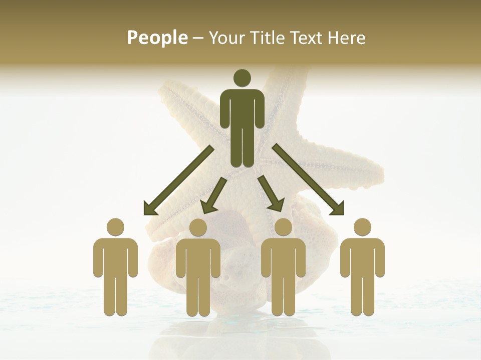 Porous Reverberation Tender PowerPoint Template