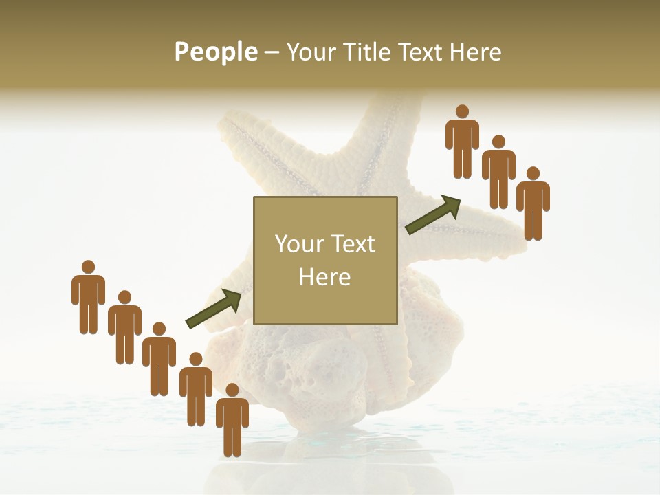 Porous Reverberation Tender PowerPoint Template