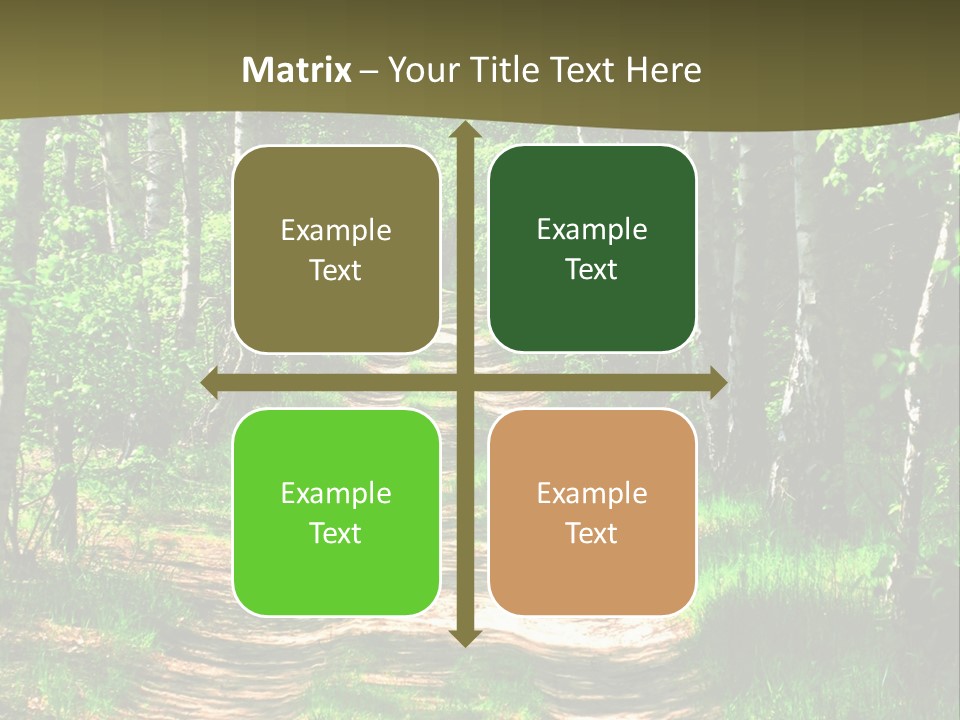 Coquina Beauty Orange PowerPoint Template