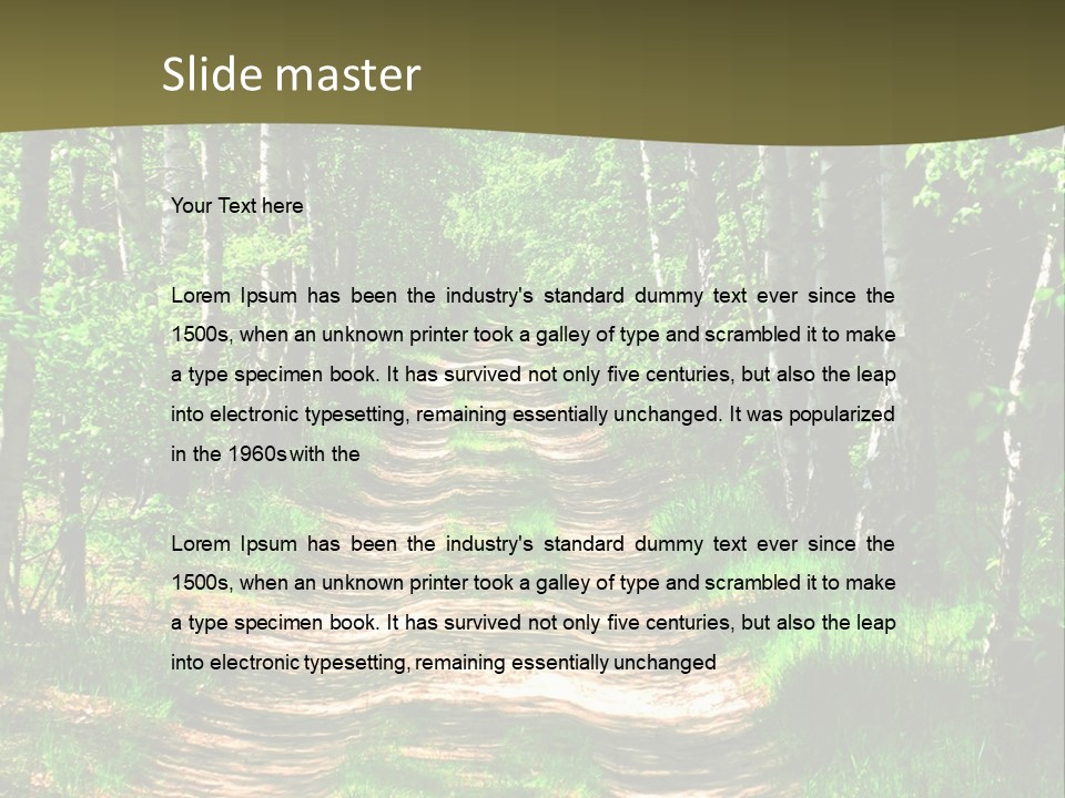 Coquina Beauty Orange PowerPoint Template