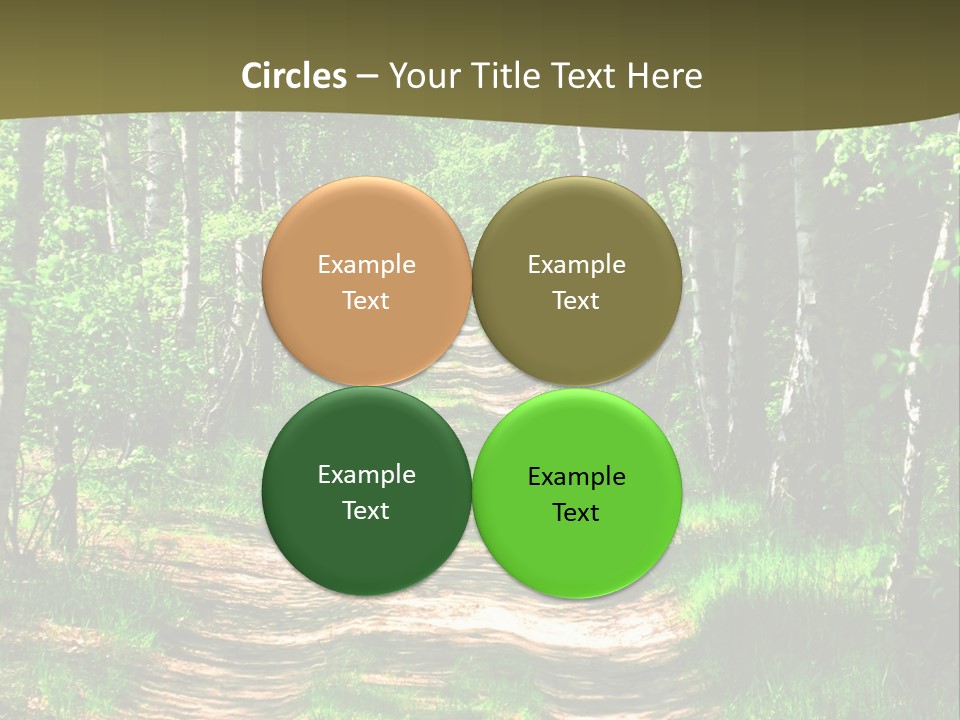 Coquina Beauty Orange PowerPoint Template