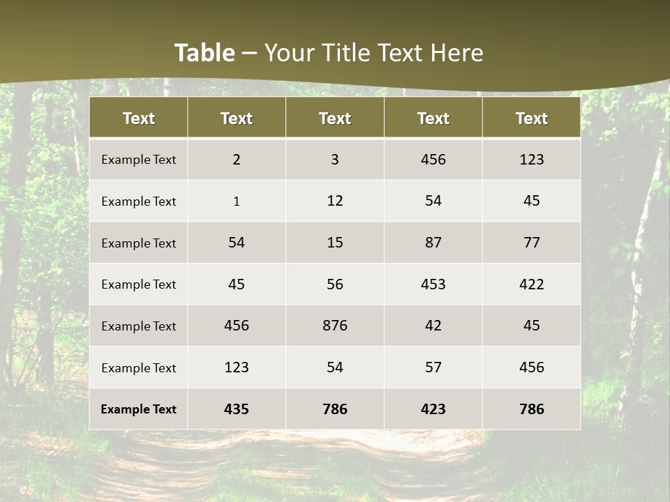 Coquina Beauty Orange PowerPoint Template