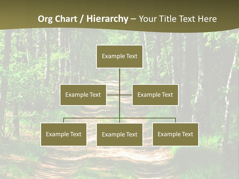 Coquina Beauty Orange PowerPoint Template