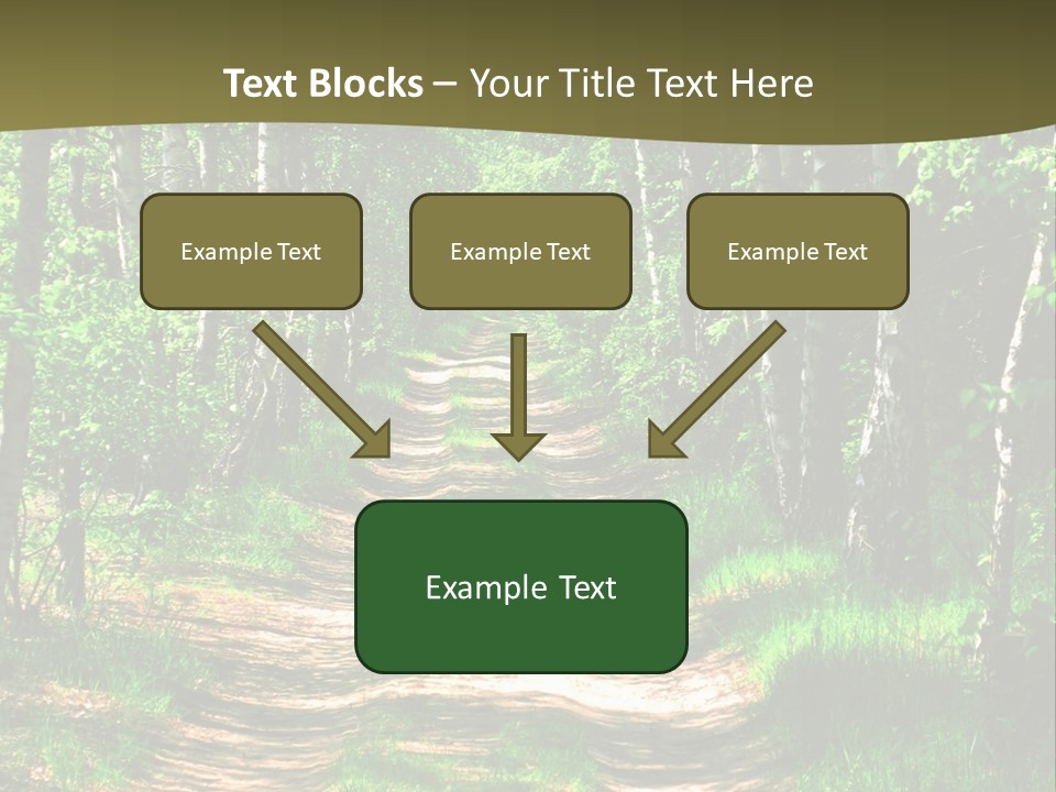 Coquina Beauty Orange PowerPoint Template