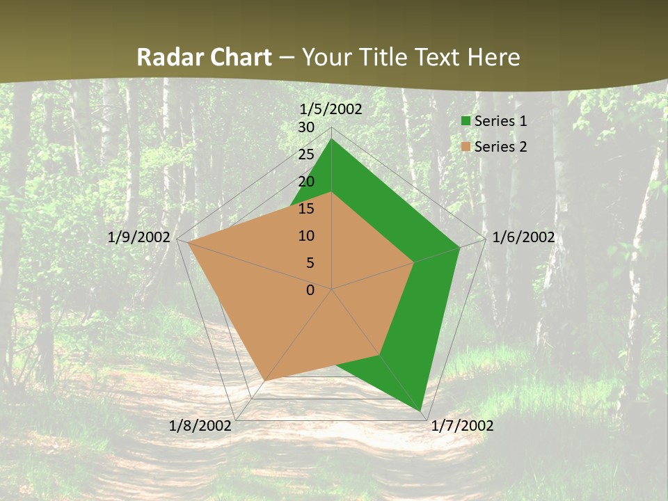 Coquina Beauty Orange PowerPoint Template