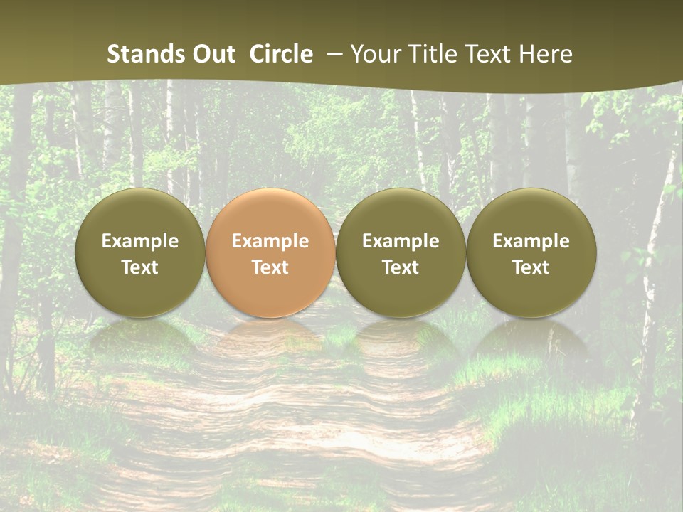 Coquina Beauty Orange PowerPoint Template