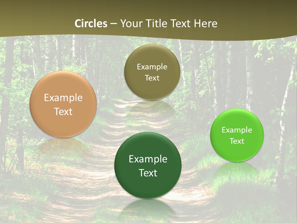 Coquina Beauty Orange PowerPoint Template