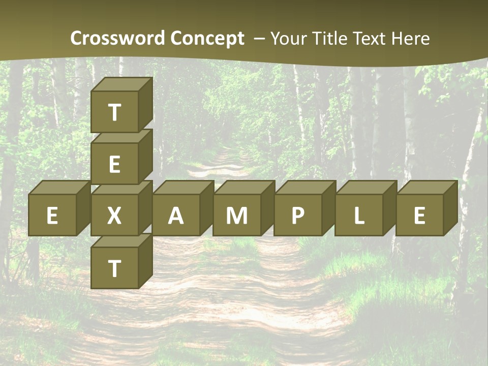 Coquina Beauty Orange PowerPoint Template