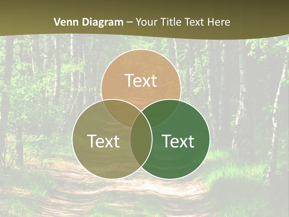 Coquina Beauty Orange PowerPoint Template