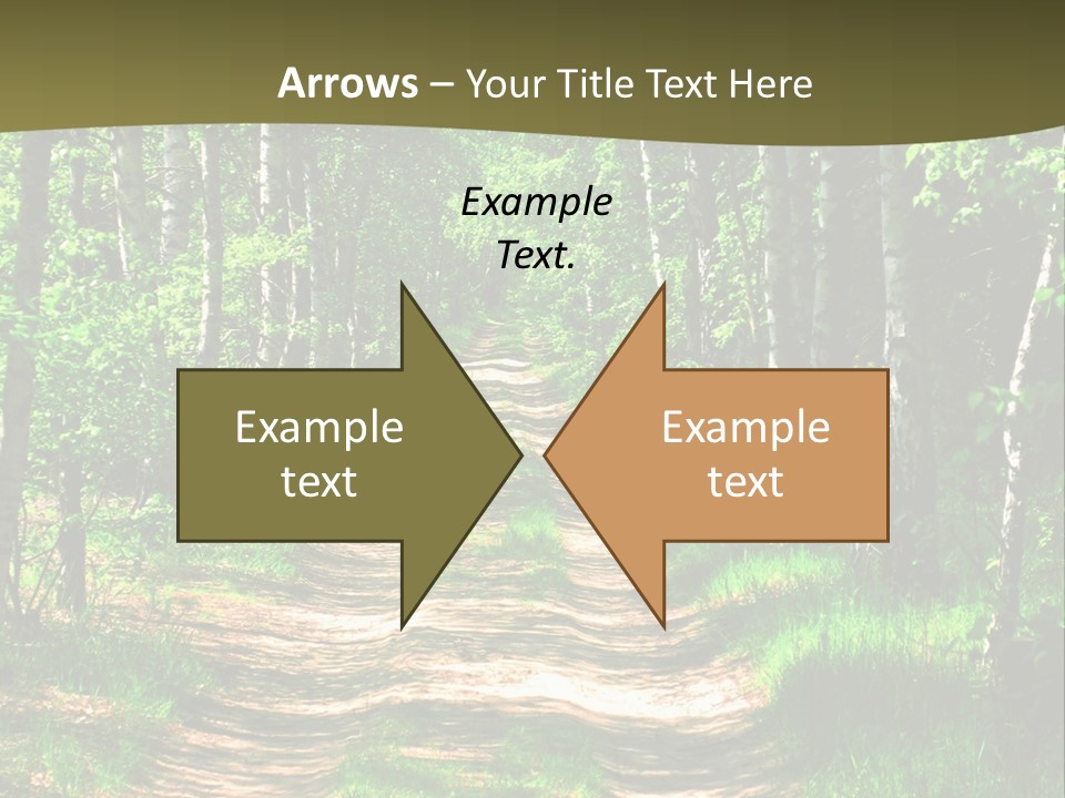 Coquina Beauty Orange PowerPoint Template