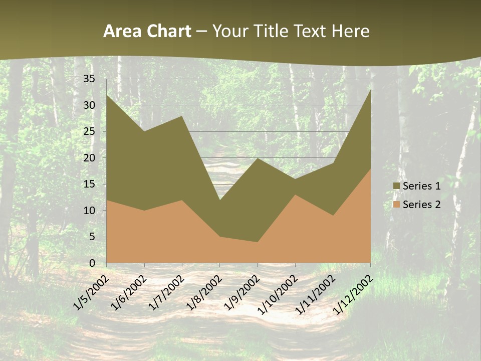 Coquina Beauty Orange PowerPoint Template