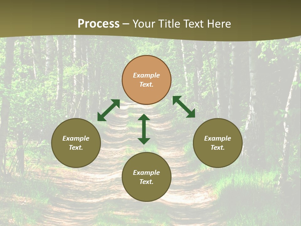 Coquina Beauty Orange PowerPoint Template