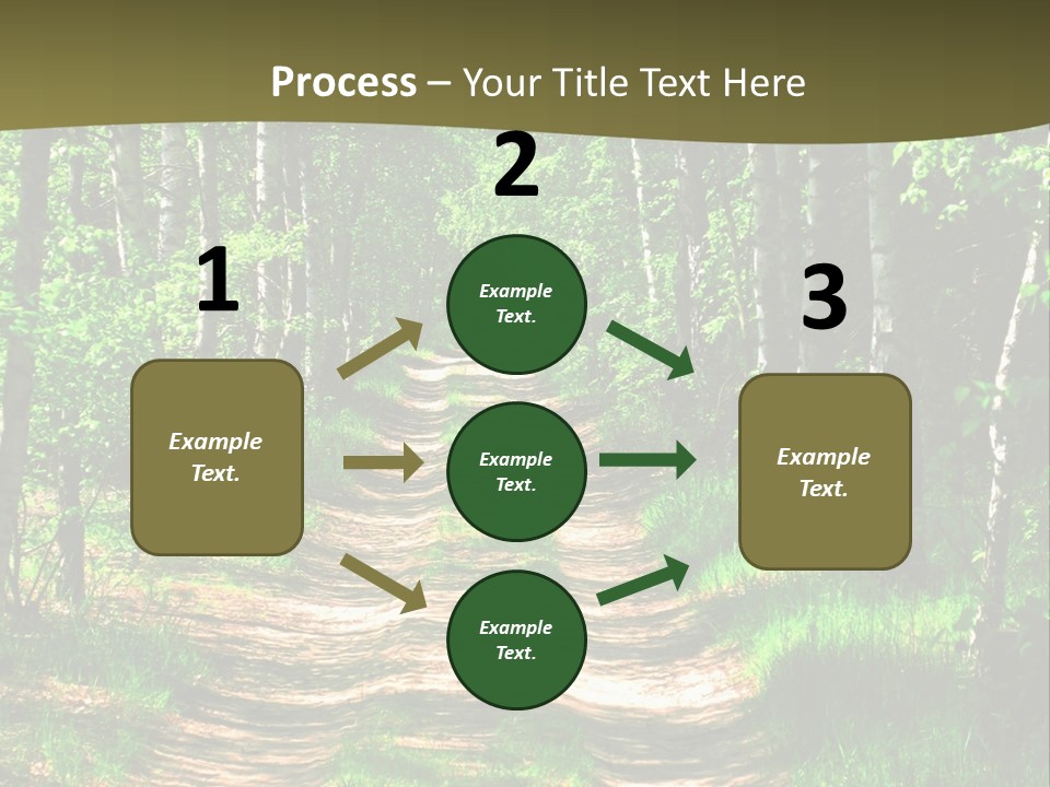 Coquina Beauty Orange PowerPoint Template