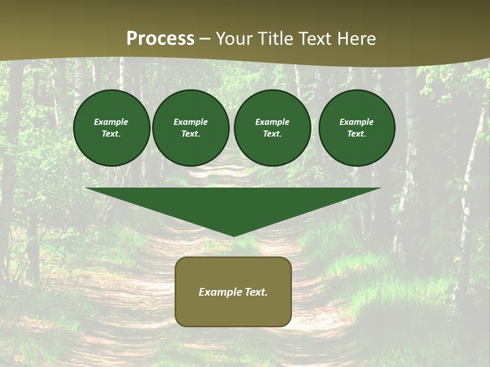 Coquina Beauty Orange PowerPoint Template