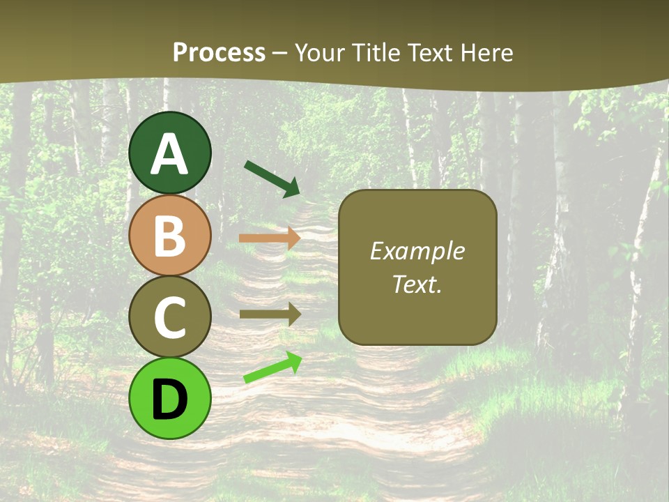 Coquina Beauty Orange PowerPoint Template