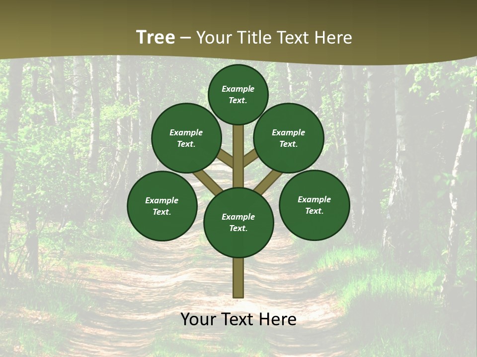 Coquina Beauty Orange PowerPoint Template