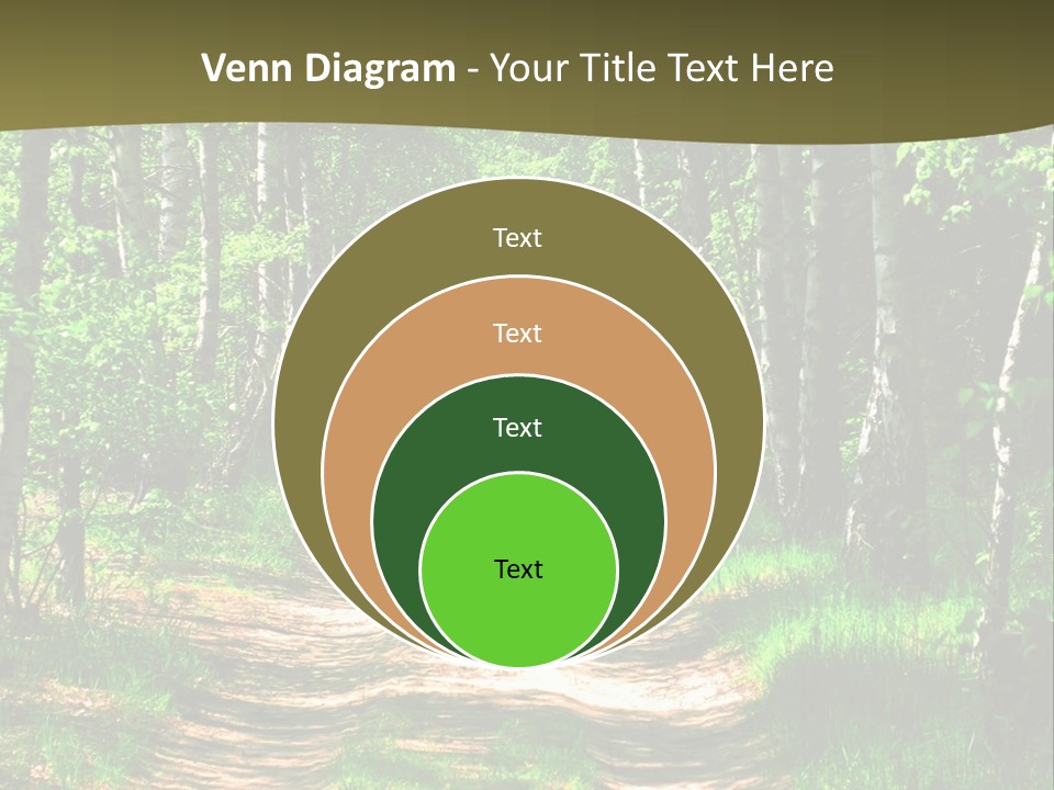 Coquina Beauty Orange PowerPoint Template