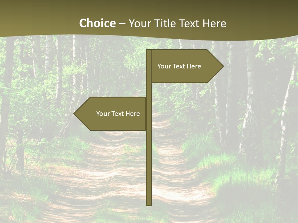 Coquina Beauty Orange PowerPoint Template