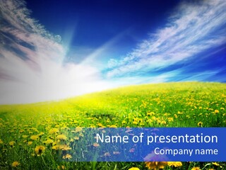 Yellow Meadow Landscapes PowerPoint Template