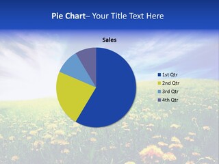 Yellow Meadow Landscapes PowerPoint Template