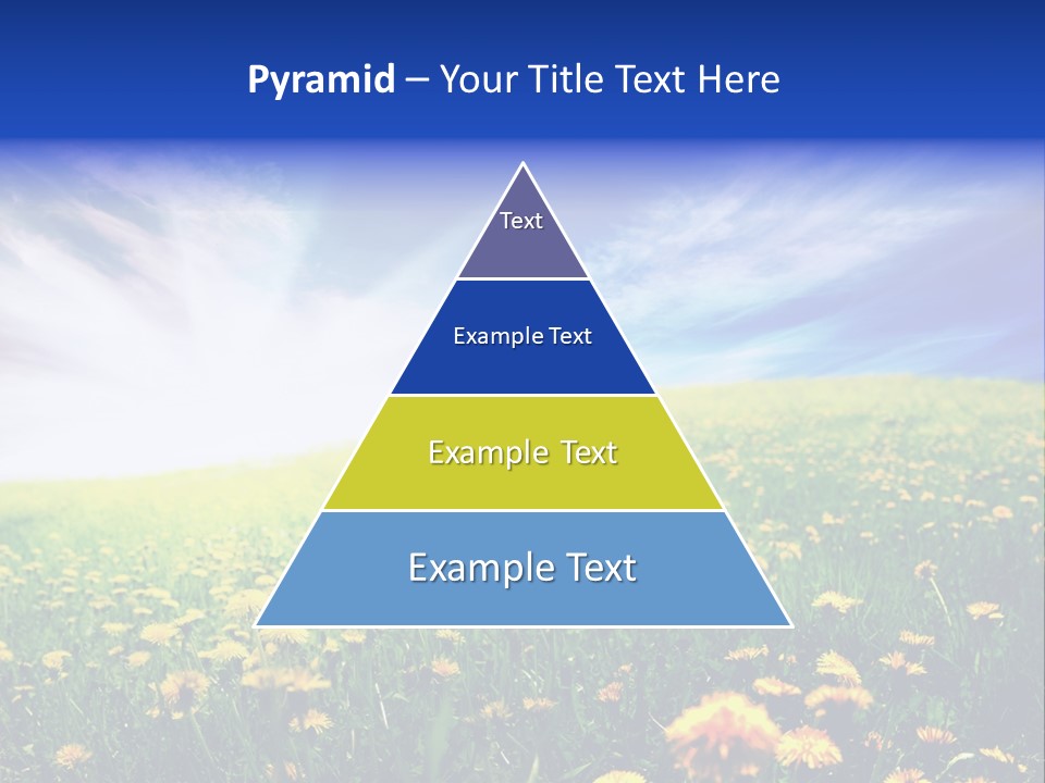 Yellow Meadow Landscapes PowerPoint Template
