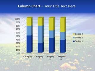 Yellow Meadow Landscapes PowerPoint Template