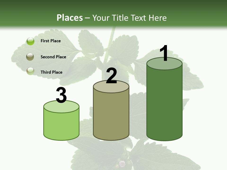 Floral Boutons Herbe PowerPoint Template