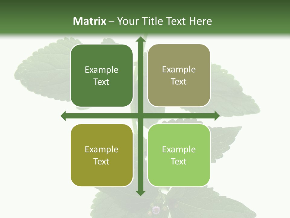 Floral Boutons Herbe PowerPoint Template