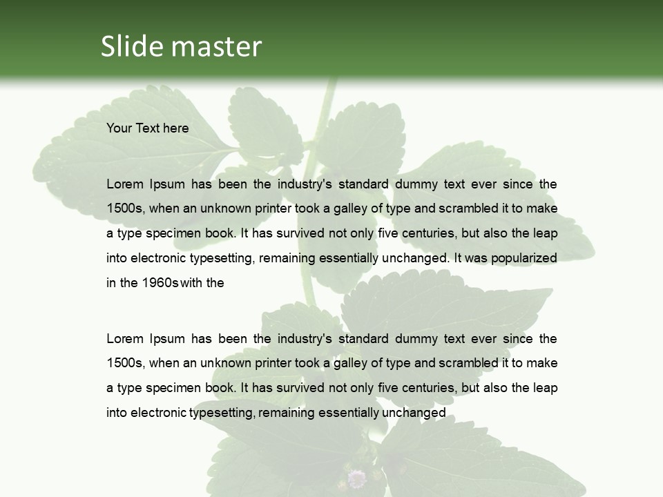 Floral Boutons Herbe PowerPoint Template