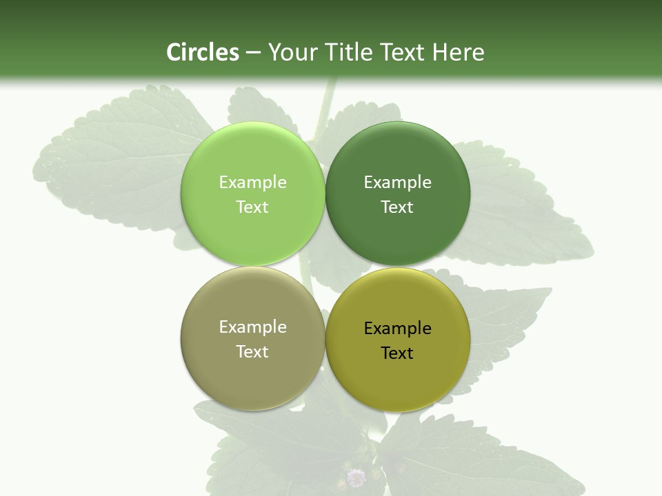 Floral Boutons Herbe PowerPoint Template