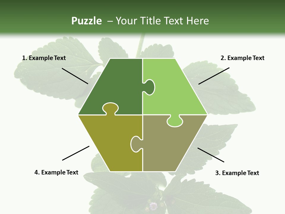 Floral Boutons Herbe PowerPoint Template