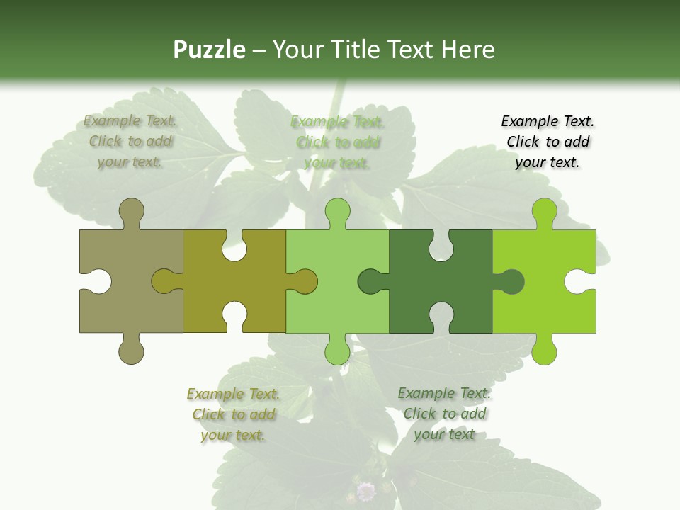 Floral Boutons Herbe PowerPoint Template