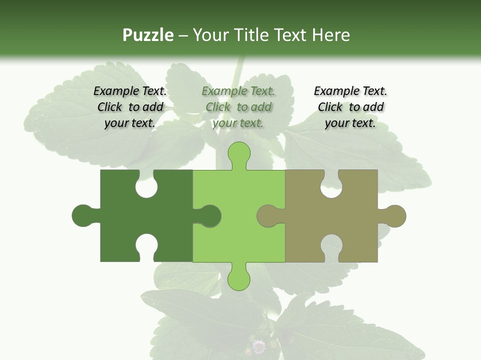 Floral Boutons Herbe PowerPoint Template