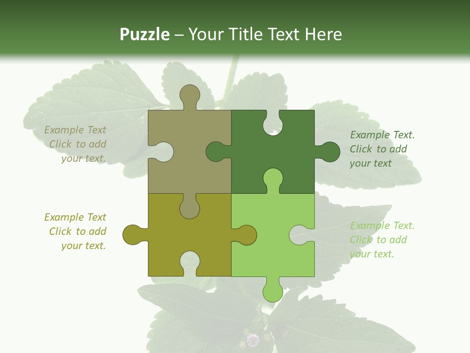 Floral Boutons Herbe PowerPoint Template