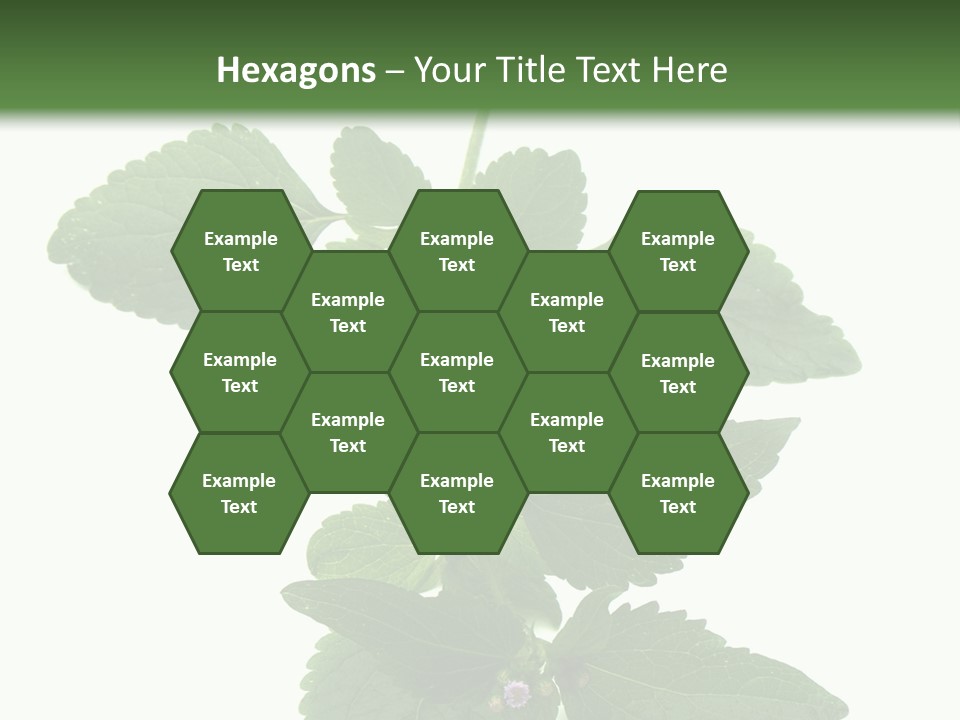 Floral Boutons Herbe PowerPoint Template