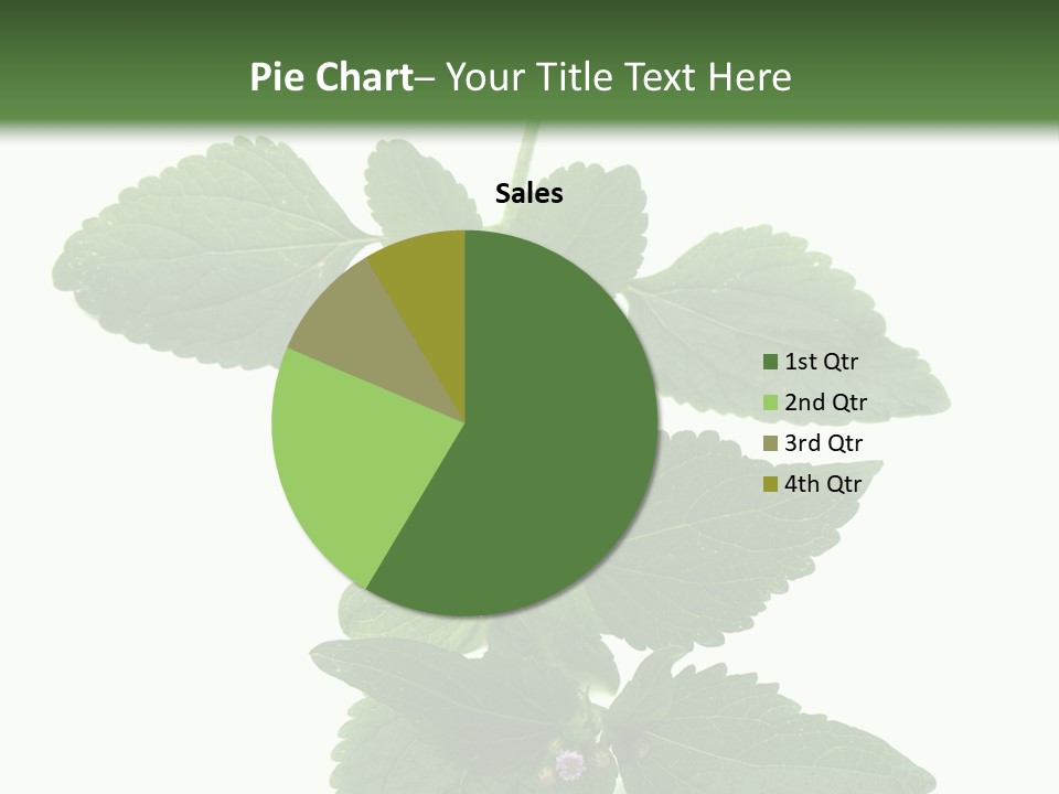 Floral Boutons Herbe PowerPoint Template