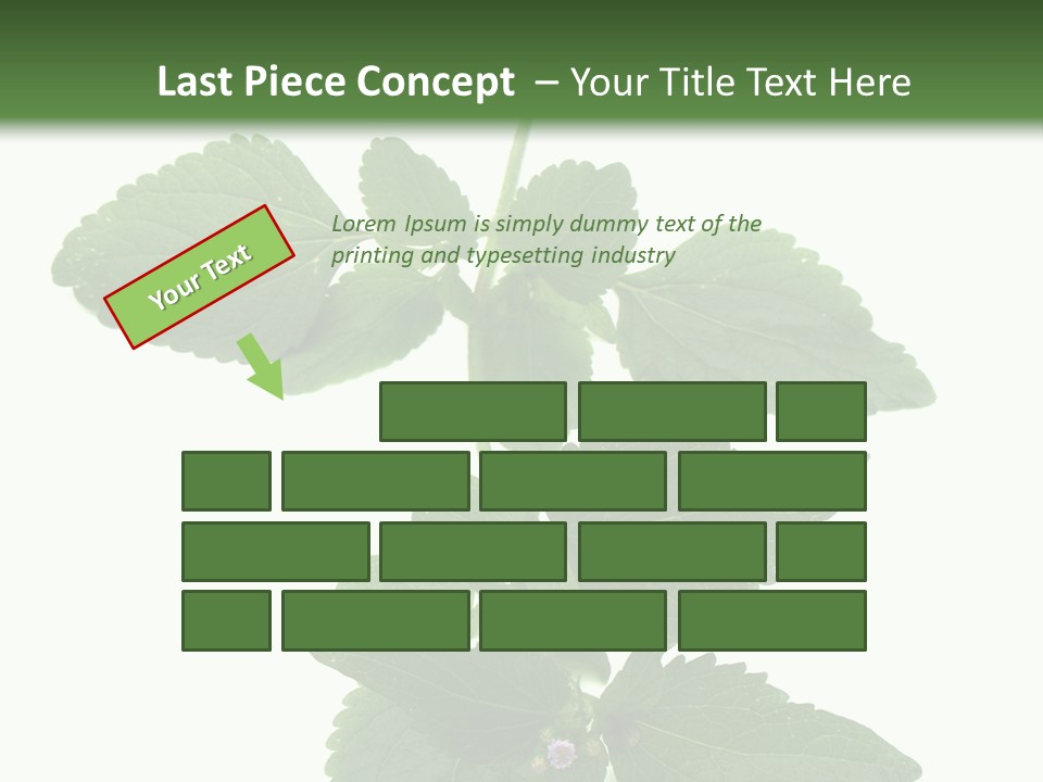 Floral Boutons Herbe PowerPoint Template