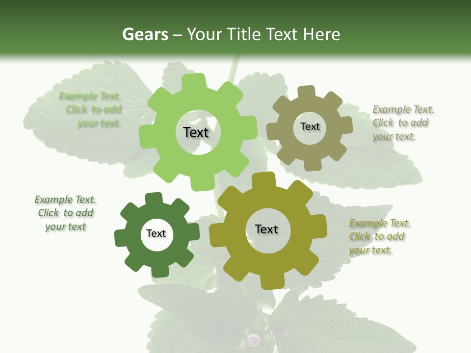 Floral Boutons Herbe PowerPoint Template