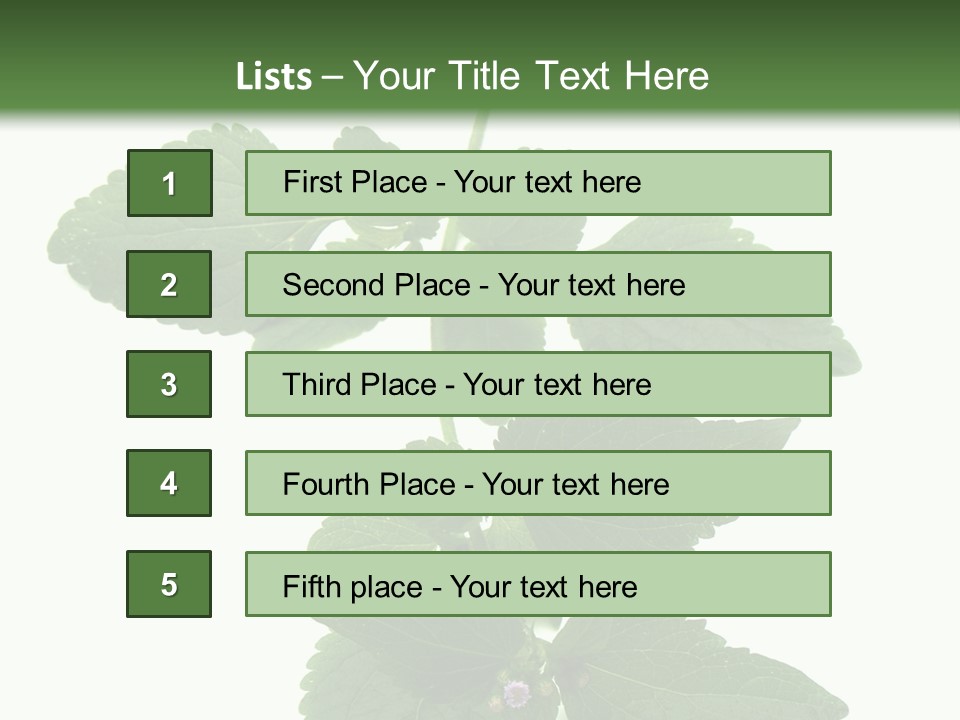 Floral Boutons Herbe PowerPoint Template