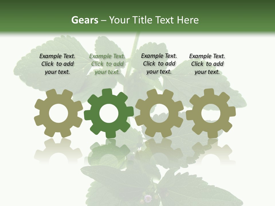 Floral Boutons Herbe PowerPoint Template