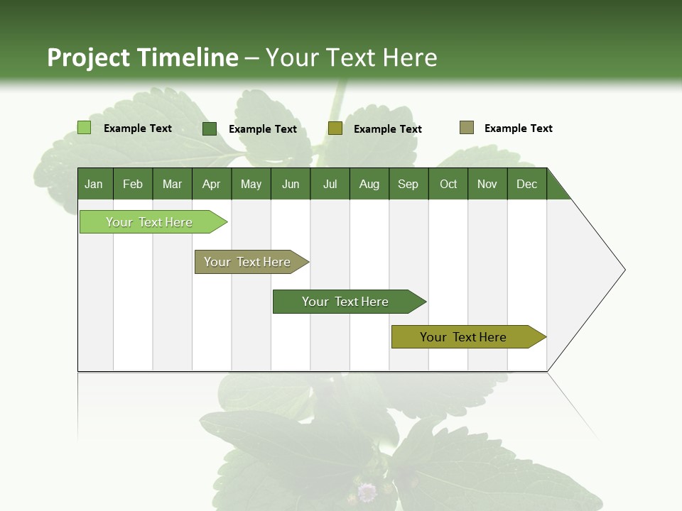 Floral Boutons Herbe PowerPoint Template