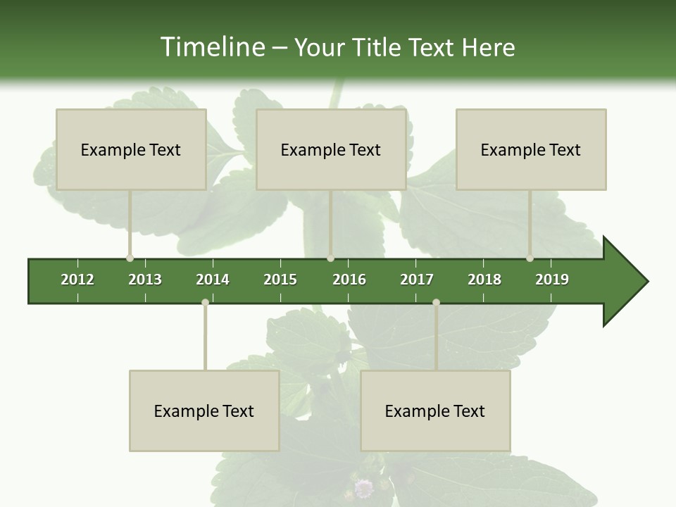 Floral Boutons Herbe PowerPoint Template